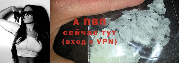 a pvp Богданович