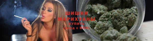 PSILOCYBIN Бронницы