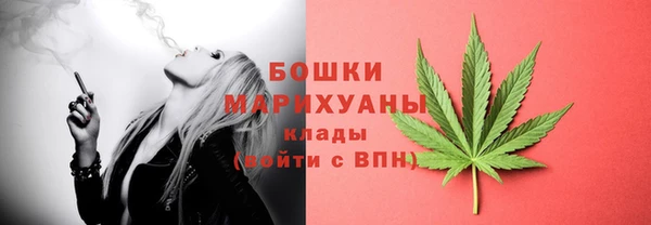 PSILOCYBIN Бронницы