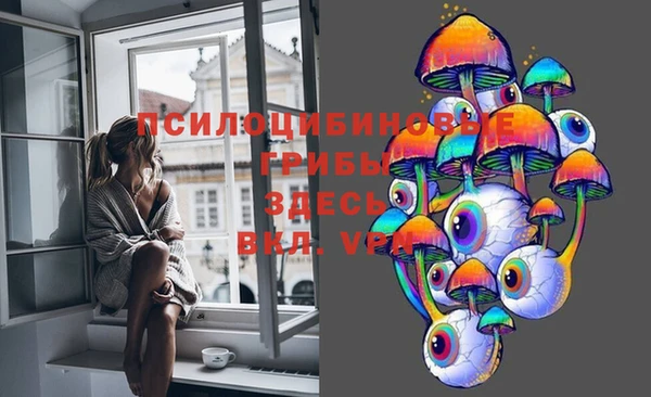винт Богородицк