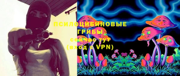 винт Богородицк