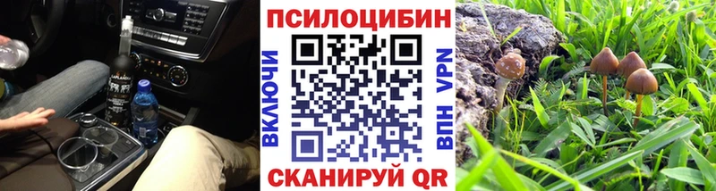 даркнет сайт Карталы Галлюциногенные грибы Psilocybine cubensis